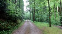  Wanderroute auf dem Gterweg Phra 